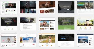Choose a theme for your website